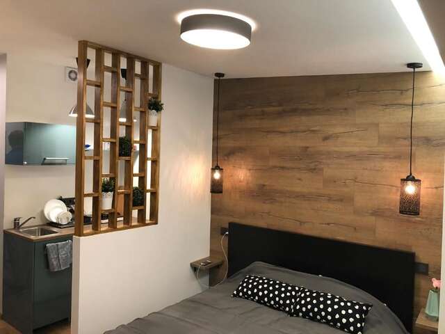 Апартаменты K&P Apartment Вильнюс-16