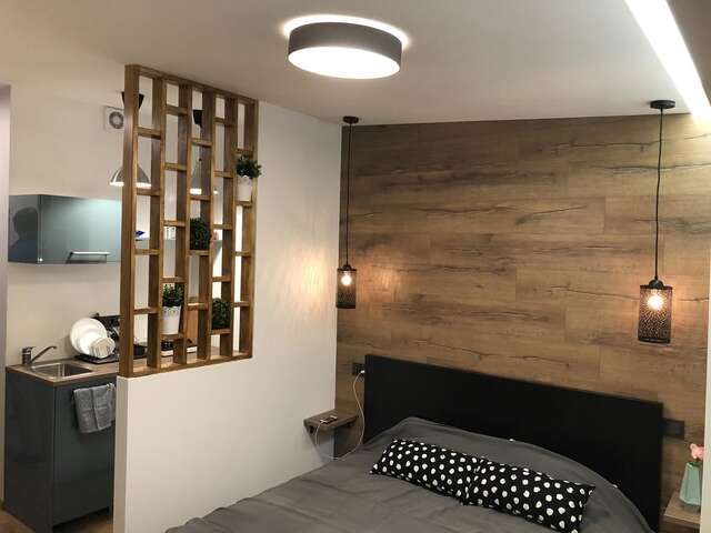 Апартаменты K&P Apartment Вильнюс-7